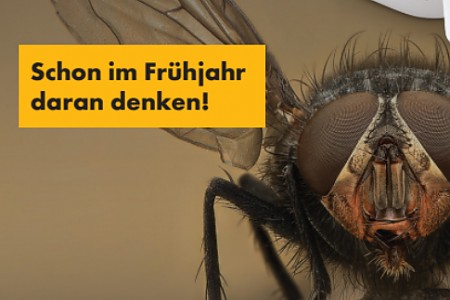 Bild Larvonex Aktion 2025