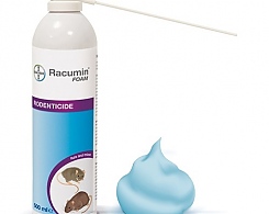 Bild von Racumin Rattenschaum Klebriger Haftschaum